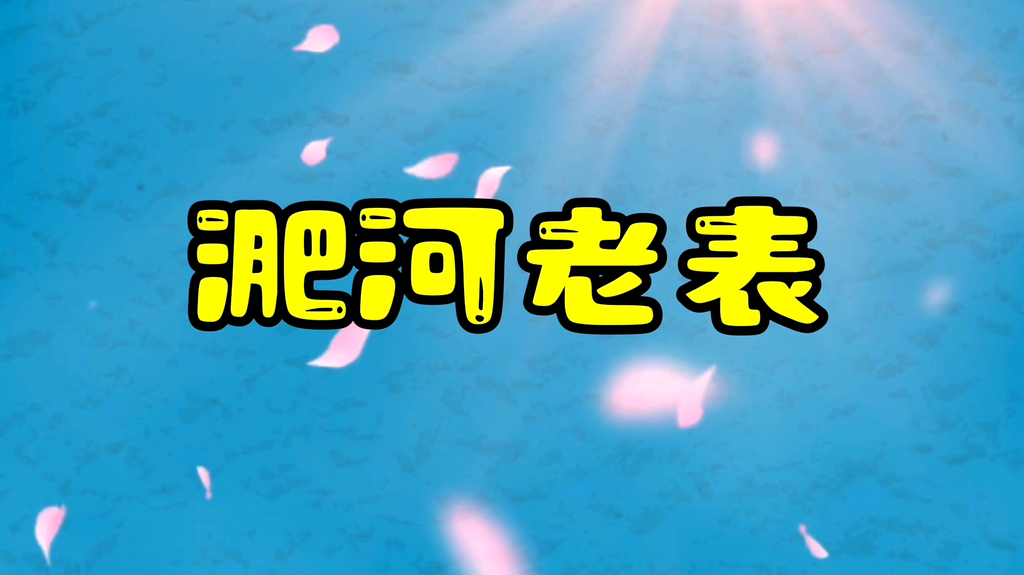 淝河老表