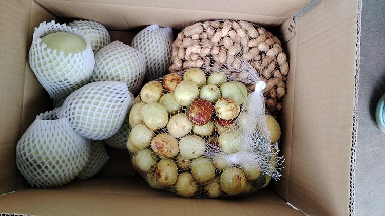 湖南祁东蔬果特产销售部