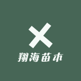 翔海苗木
