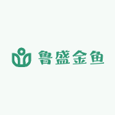 鲁盛金鱼