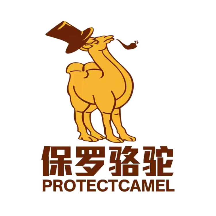 保罗骆驼儿童