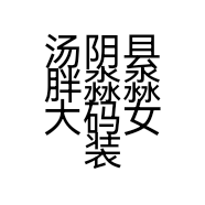汤阴县胖淼淼大码女装店个体店