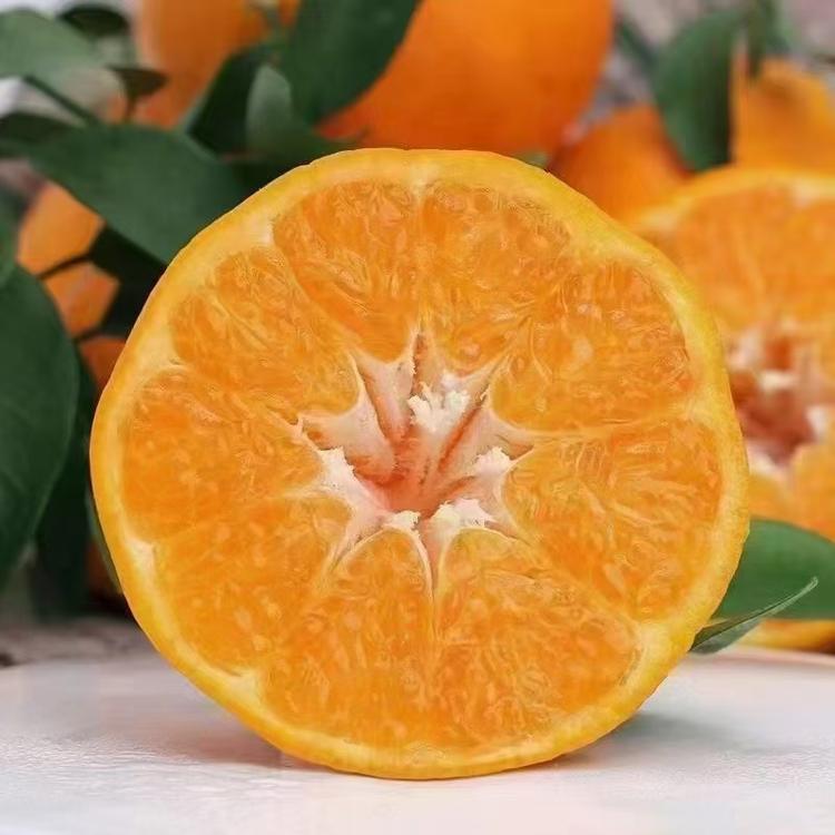 鑫媛的小店