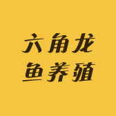 六角龙鱼养殖