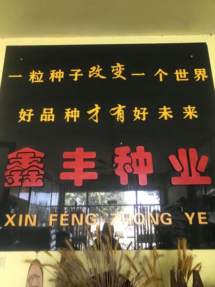 青岛鑫丰种业有限公司的小店