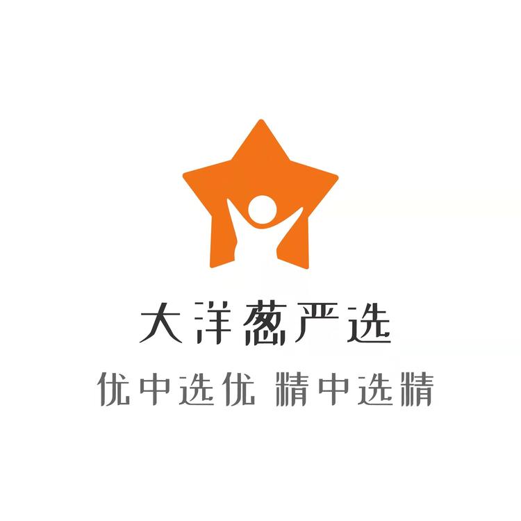 大洋葱严选个体店