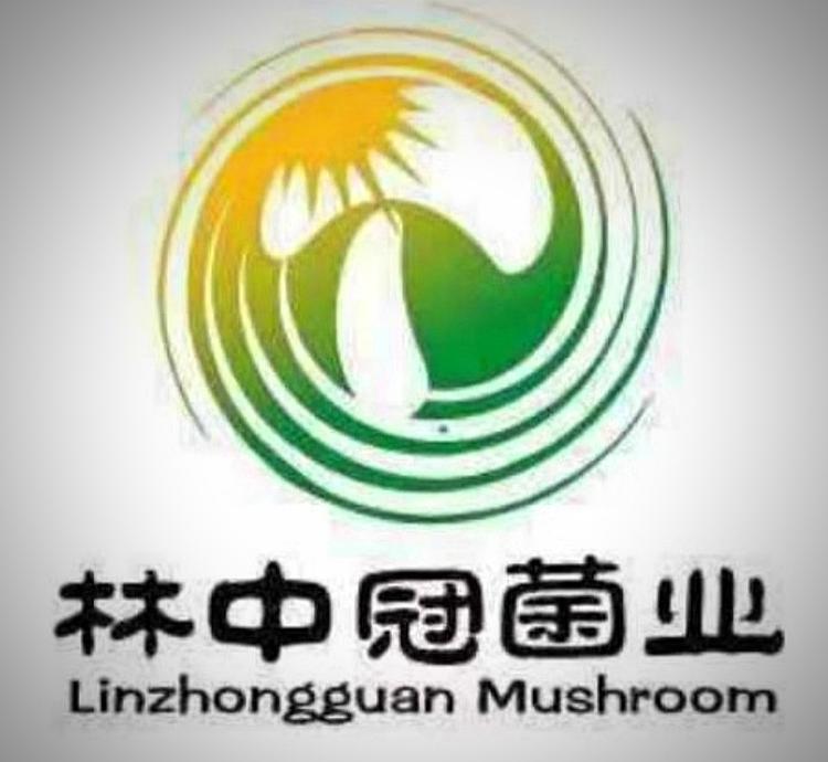 长阳丰冠食用菌经营部的小店