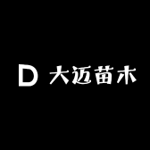大迈苗木