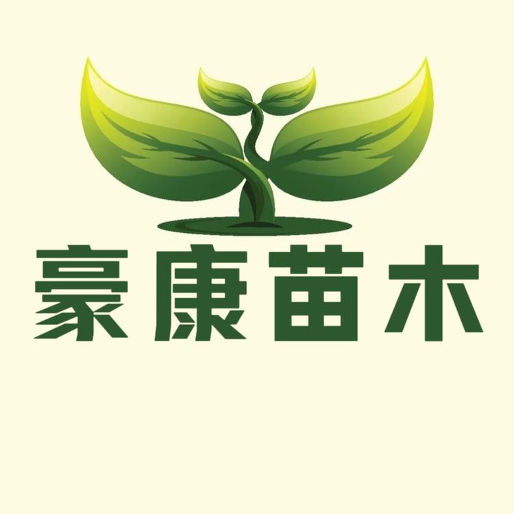 豪康苗木