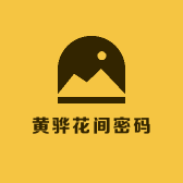 黄骅市花间密码