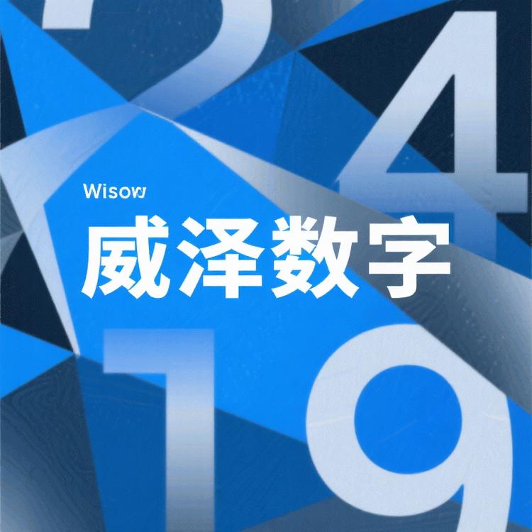 陕西威泽数字优品精选店