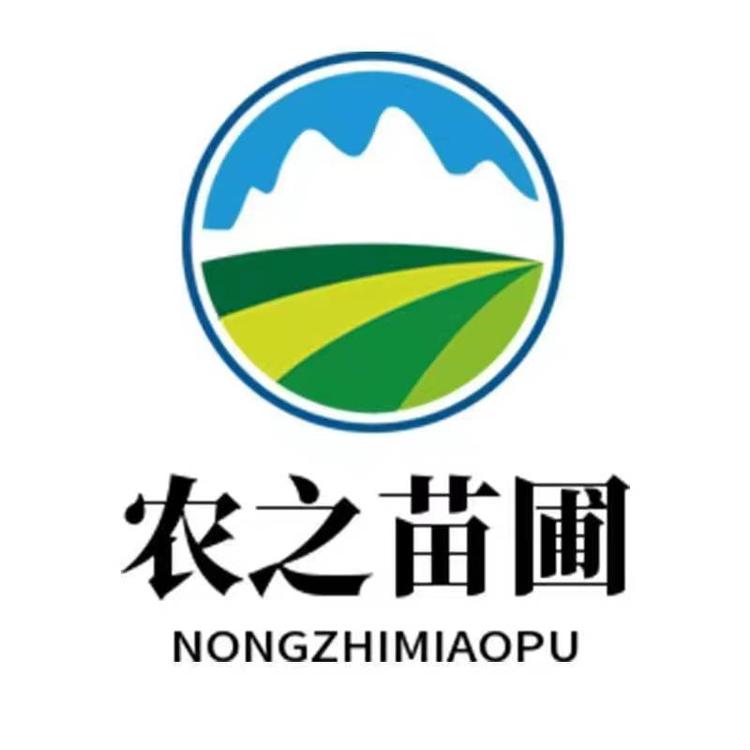 迎春鸟高现美果树苗木专卖店