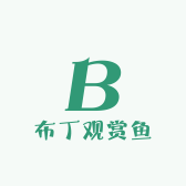 布丁观赏鱼