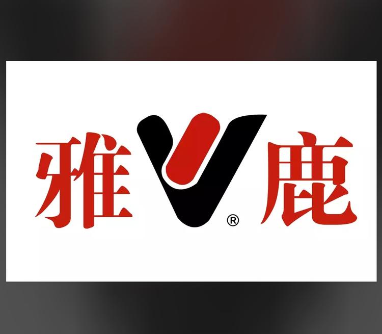 袜子骑士