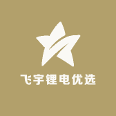 飞宇锂电定制