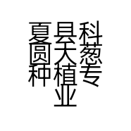 夏县科圆大葱种植专业合作社的小店