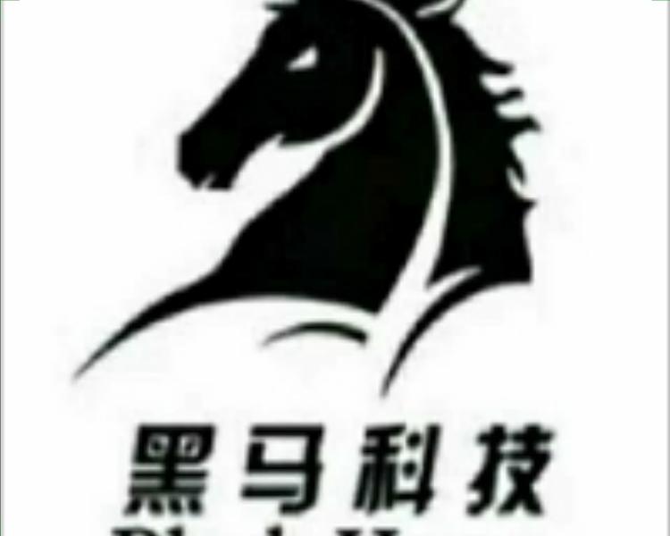 娄底黑马软件开发有限责任公司的小店