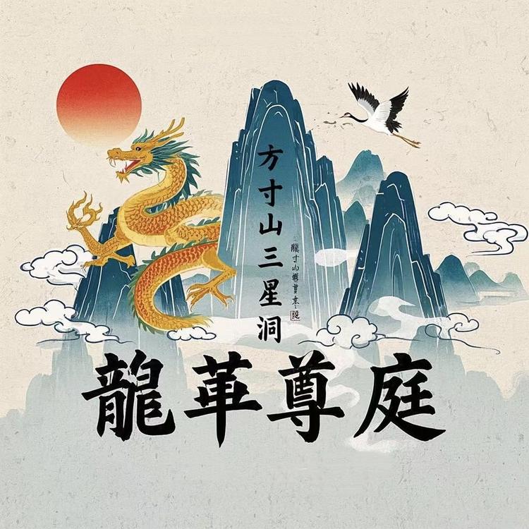 方寸人山生态茶叶工艺臻选