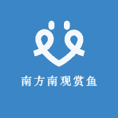 南方南观赏鱼