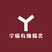 宇猫有缘猫舍