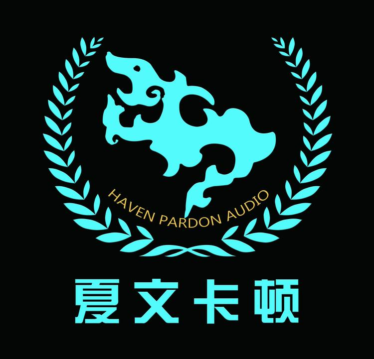 夏文卡顿音响企业店