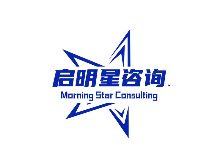 启明星咨询