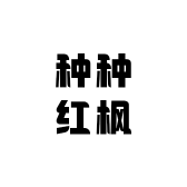 种种红枫