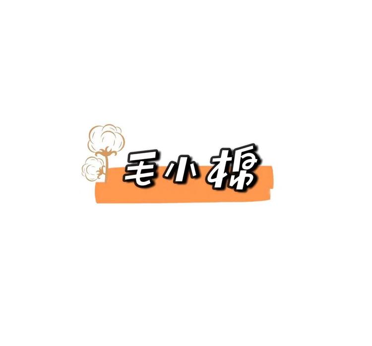 毛小棉家居个体店