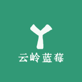 澄江云岭蓝莓