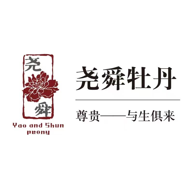 YS尧舜牡丹