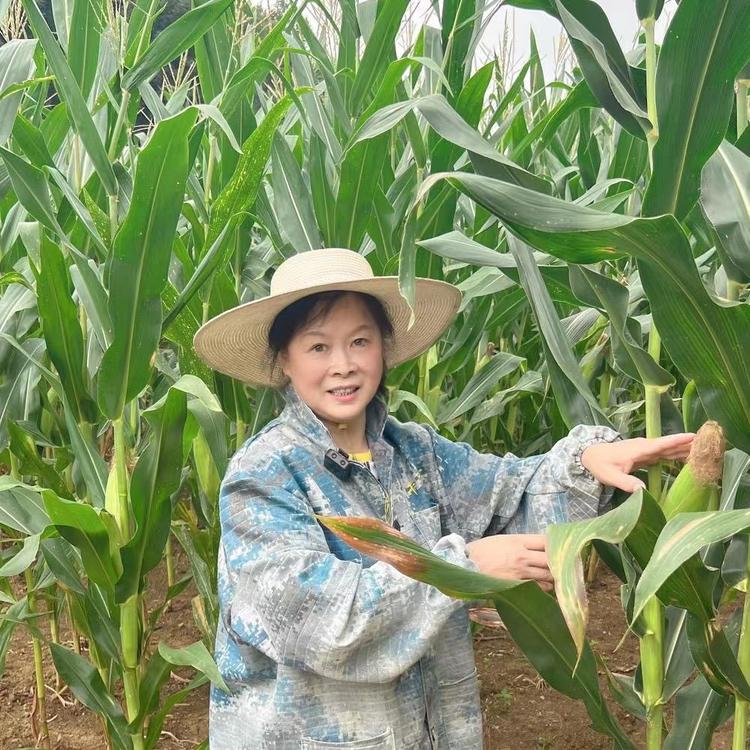 香子姐家的农副产品