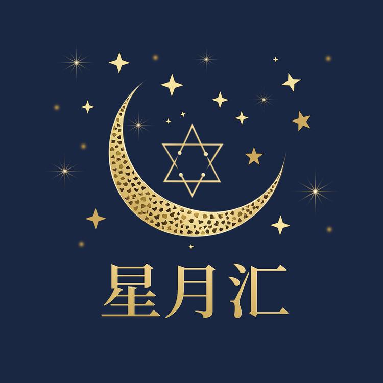 星月汇星月菩提文玩