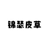 枣强县锦瑟皮草的小店个体店