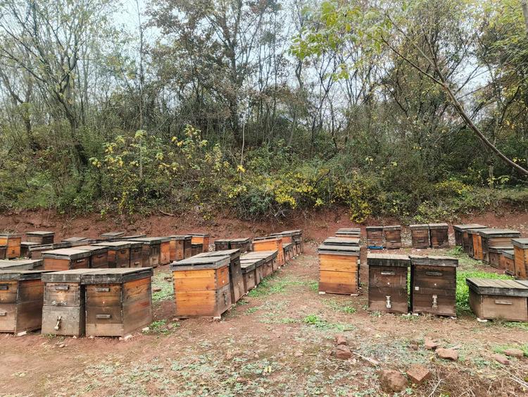 浣溪蜂业家庭农场