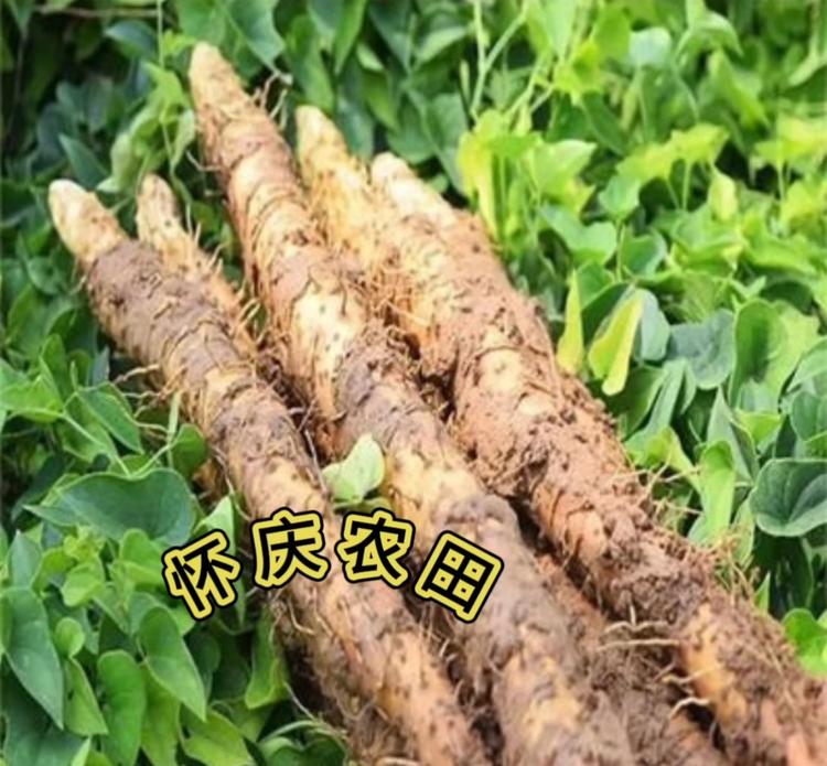 怀庆农田农产品销售店