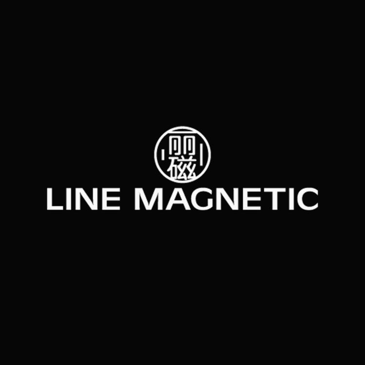 line magnetic丽磁音响专卖店