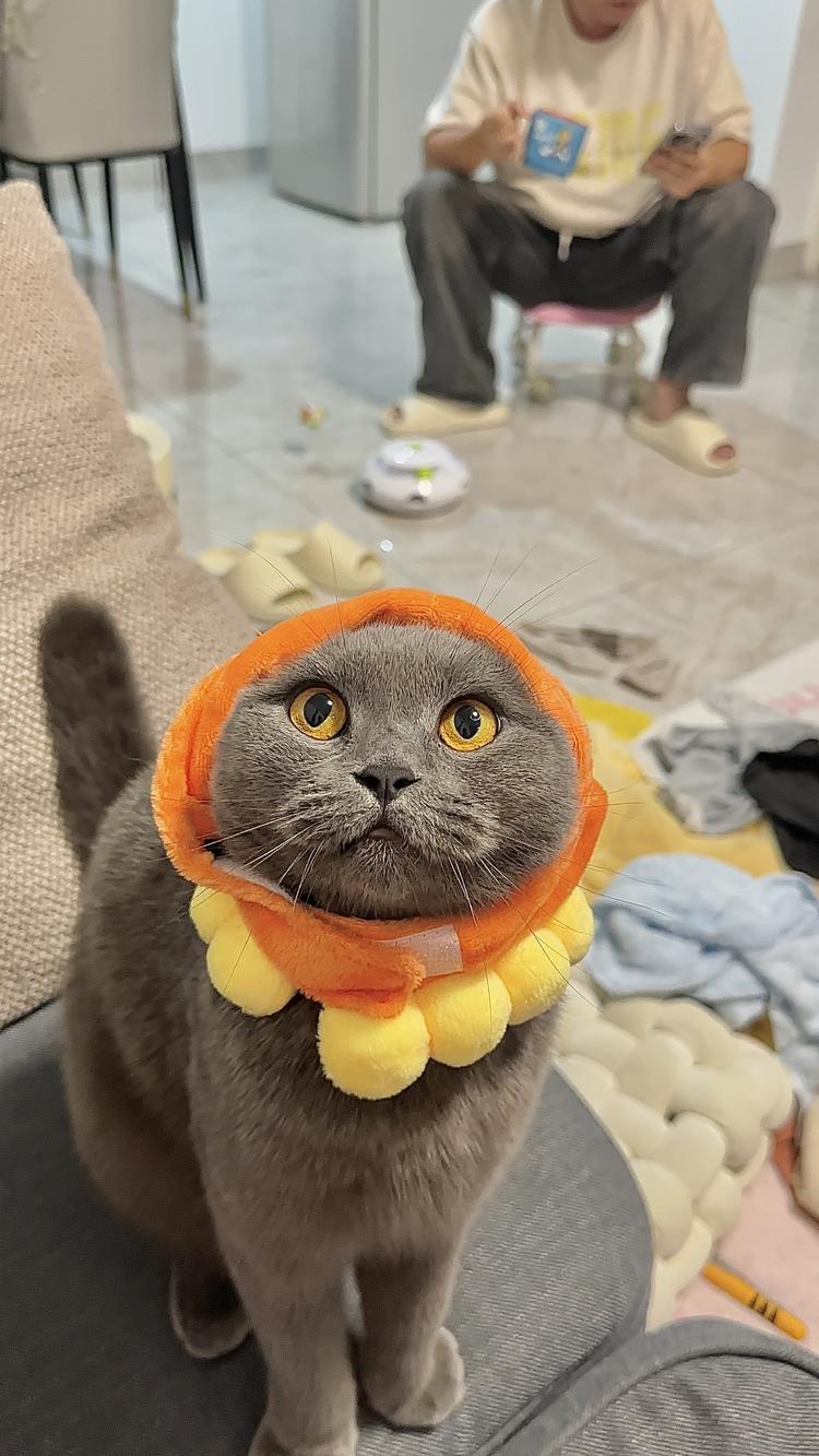 爱串珠的小女孩