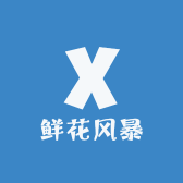 鲜花风暴