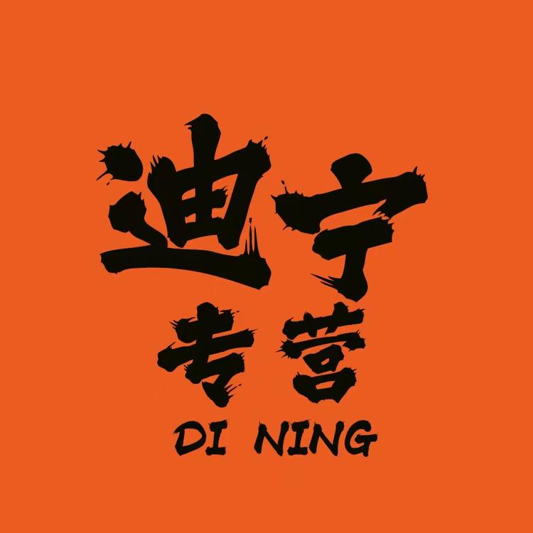 迪宁专营店