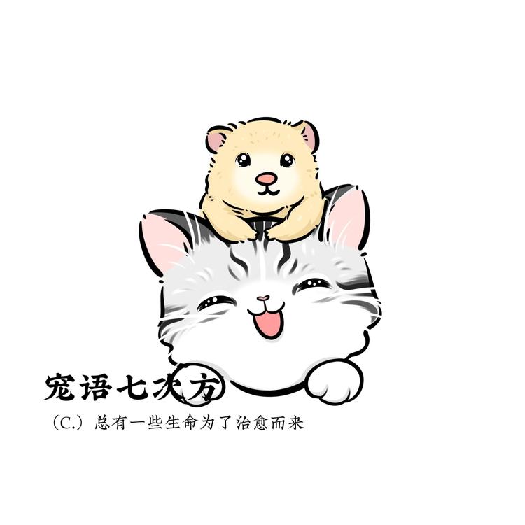 宠语七次方