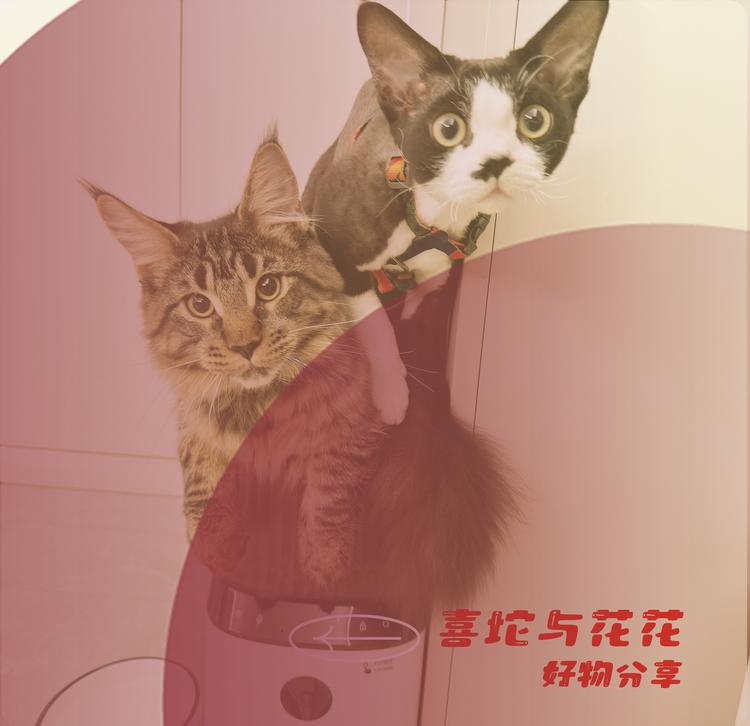 喜坨与花花宠物用品店