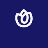 濮院哈基咪宠物