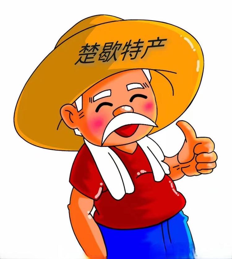 楚歇特产