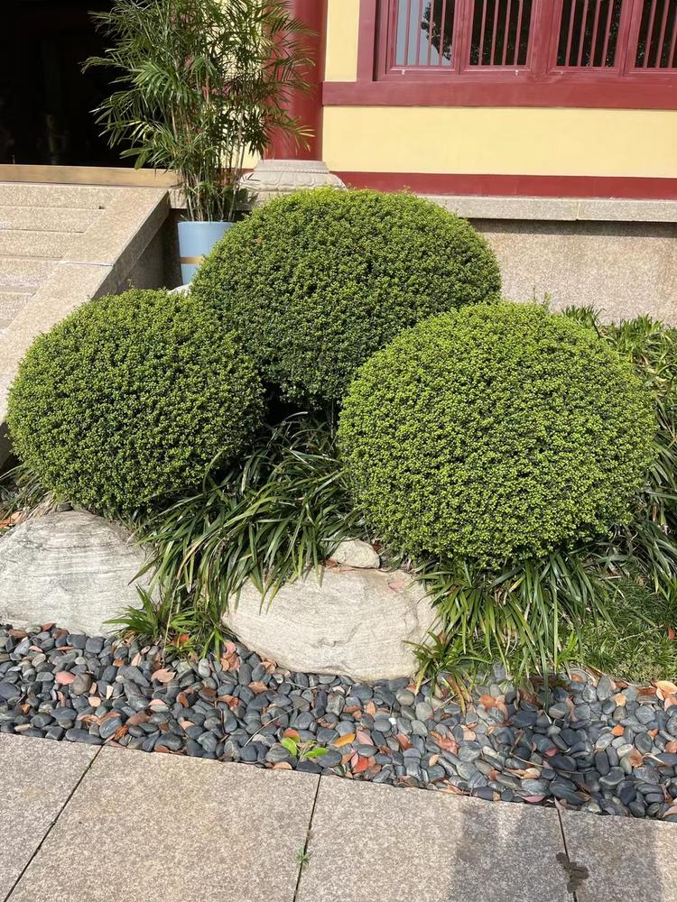 兰溪市千峰家庭农场的小店个体店
