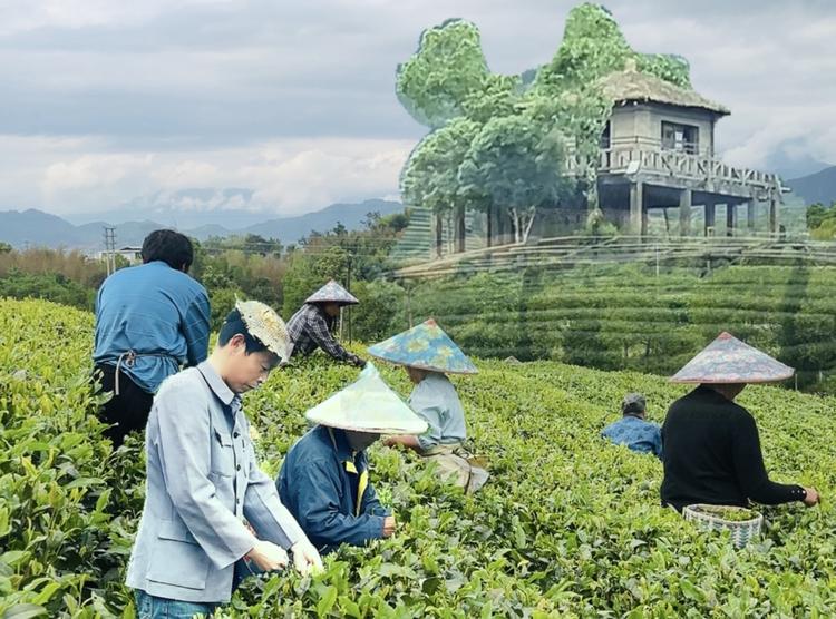 表歌店铺