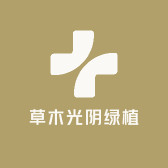 草木光阴绿植