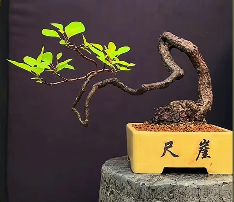 問路