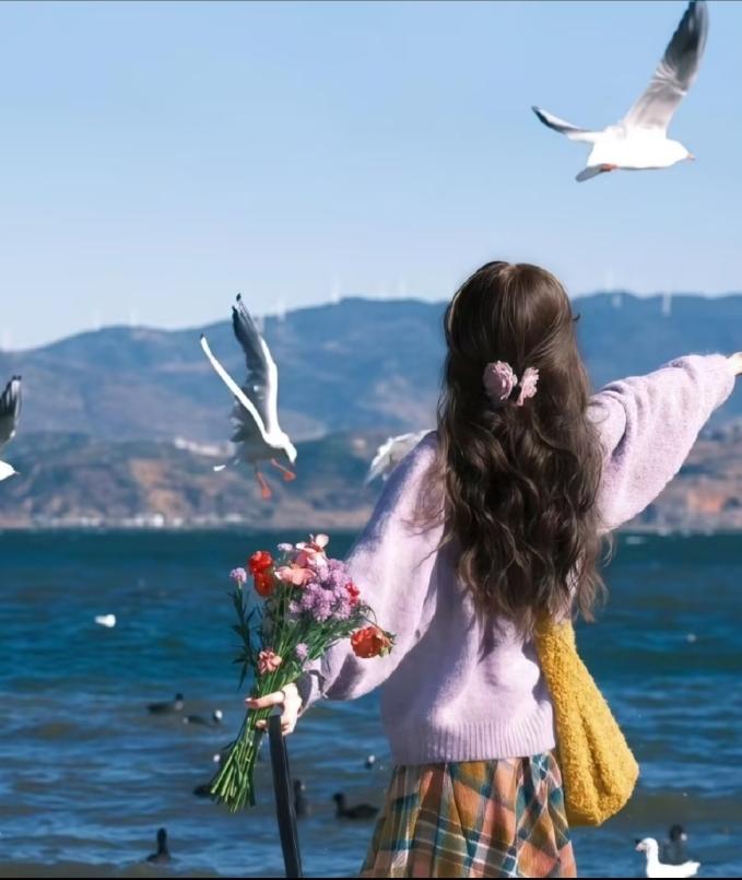 花哲雅花卉