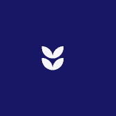 情谊浓浓