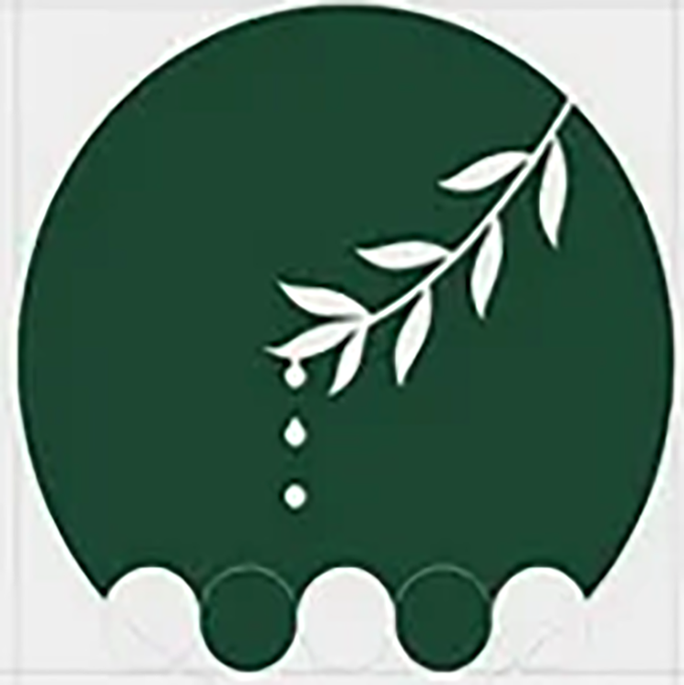 筱音绿植花卉店